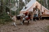 What Are the Best Pet Tents for Outdoor Camping With Your Dog?